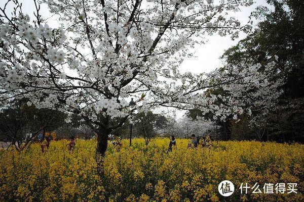 Air 2S飞行晃动别乱找师傅 武汉本地/外地寄修的正确渠道🌸