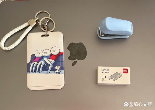 Mini3电池不耐用，修一下多少钱？✈️